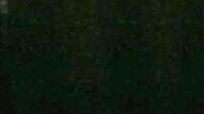 Inés Zorreguieta, hermana de la reina Máxima de Holanda.