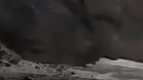 El oso fue detrás de su presa.