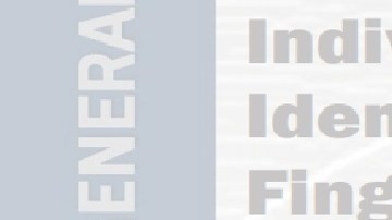 El reporte fue realizado en 2017.