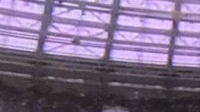 Robbie Williams en el Mundial.