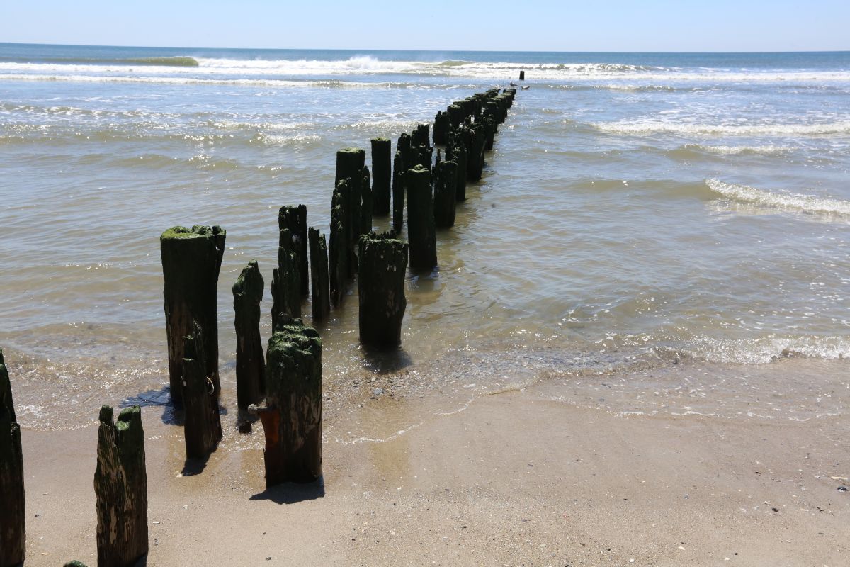 Another lifeguard bitten by shark;  3rd case in a week in New York