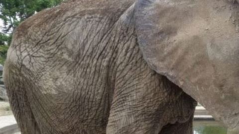 Ruperta murió en junio de 2018