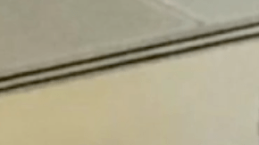 Jermaine Gresham de los Arizona Cardinals, pagó el equipaje de una pasajera.