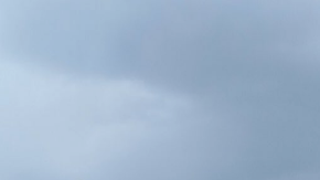 El protagonista de esta historia es un perro con muchas más virtudes que defectos.