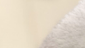 El corte de pelo de este perrito está causando furor en las redes.