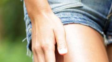 ¿Hay alguna diferencia entre repelentes naturales y sintéticos?