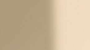 shutterstock_299286230