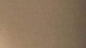 Stephanie Miner fue la primera mujer alcaldesa de Syracuse