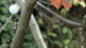 "Tenía una tos que no se me iba", recuerda Hunter.