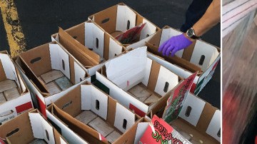 Parte del decomiso realizado por la DEA