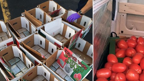 Parte del decomiso realizado por la DEA