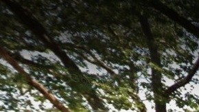 Tompkinsville Park, en Staten Island.