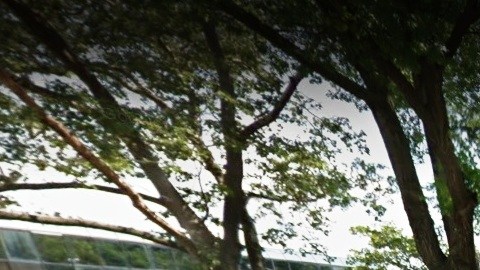 Tompkinsville Park, en Staten Island.