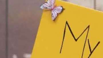 Acivistas presionan para que se mantenga la protección a "dreamers".