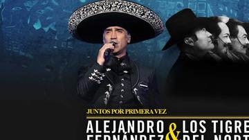 Gira-Tigres-Alejandro