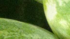 Melones de agua.