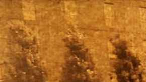 Fleming interpretaba a "Tye Banga"