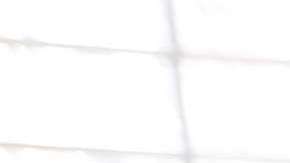 En noviembre hay elecciones del Congreso y los demócratas podrían tomar control de las dos ´Cámaras, si el electorado castiga a Trump por sus políticas