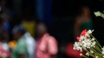 En Colombia han sido asesinados cerca de 100 líderes sociales  este año.