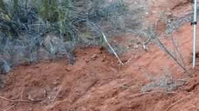 Los dinosaurios desparecieron hace más de 65 millones de años.