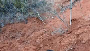 Los dinosaurios desparecieron hace más de 65 millones de años.