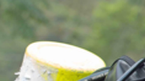 102474043_richardharris-profile3