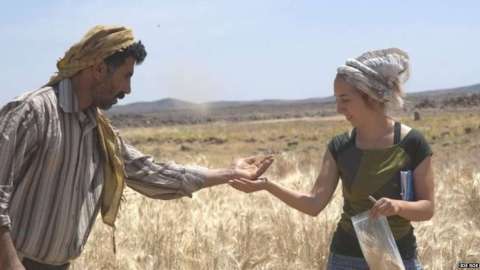 El hallazgo prueba que se horneaba 4.000 años antes del inicio de la agricultura.