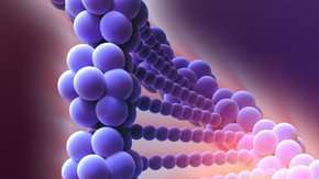 El CRISPR/Cas9 es una técnica de "corta pega".