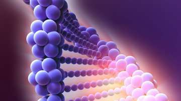 El CRISPR/Cas9 es una técnica de "corta pega".