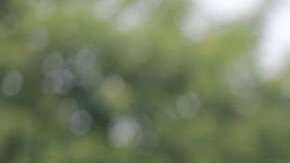 Masaya es una de las ciudades que ha puesto mayor resistencia al gobierno.