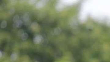 Masaya es una de las ciudades que ha puesto mayor resistencia al gobierno.