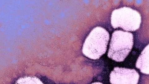 La FDA acaba de aprobar un medicamento para combatir la viruela.