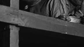 ¿Qué postulan los "negacionistas del Holocausto"?