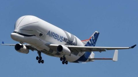 El Berluga XL tiene más capacidad que su antecesor.