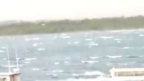 En el vehículo viajaban unas 30 personas.