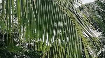 El derrumbe de una presa provoco inundaciones en varias aldeas.