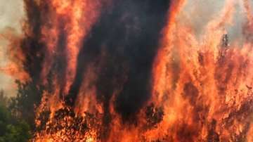 Las autoridades investigan qué originó el siniestro.