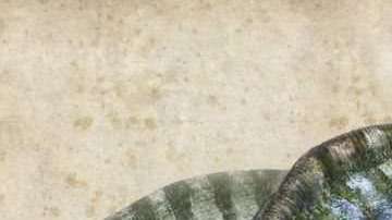 El nombre de la nueva especie es "Lingwulong shenqi", literalmente "asombroso dragón de Lingwu", la ciudad más cercana al lugar donde fueron hallados los fósiles.