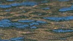 La madre trató de mantener a flote el cadáver.