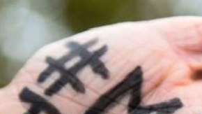 Las imágenes han sido vistas más de un millón de veces en YouTube