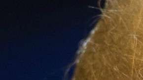 El gobierno tiene hasta el jueves para devolver a más de 2000 niños a sus familias