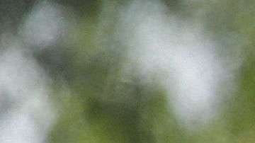 Familias migrantes son procesadas en la Estación Central de Autobuses en McAllen.