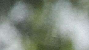 Migrantes son procesados en McAllen, Texas.