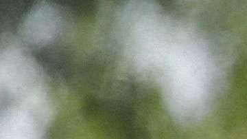 Migrantes son procesados en McAllen, Texas.