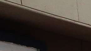 La nueva Constitución de Cuba se someterá a votación en julio.