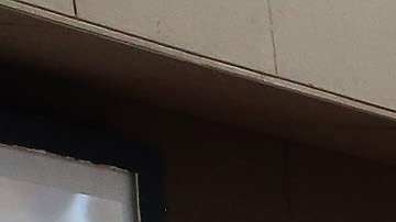 La nueva Constitución de Cuba se someterá a votación en julio.