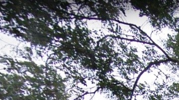 Fue hallado en 160 Waverly Place