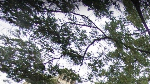 Fue hallado en 160 Waverly Place