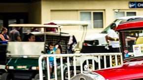 Muestra de colorido e ingenio.