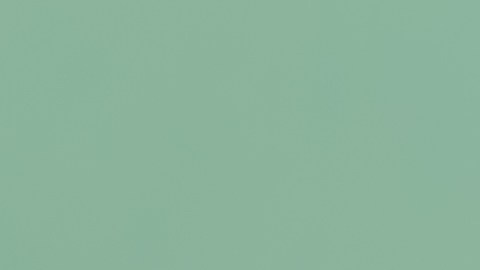 Las cuentas 529 están pensadas para ayudar a ahorrar para pagar estudios./Shutterstock